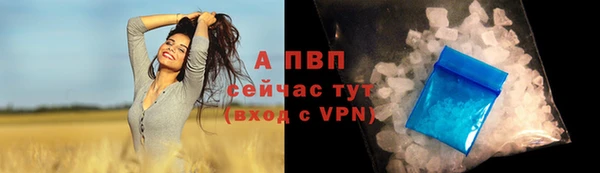ALPHA PVP Магас