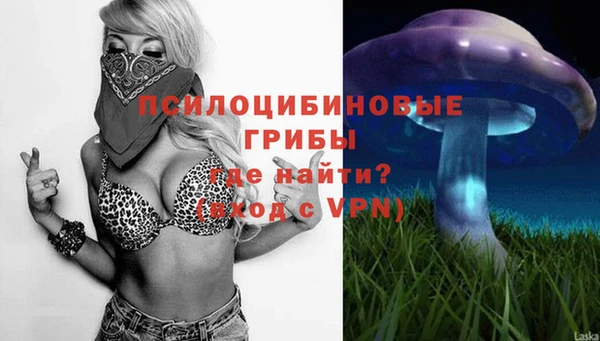ALPHA PVP Магас