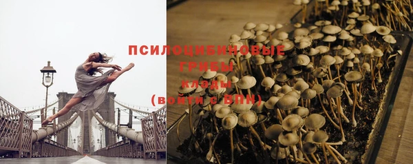 2c-b Майский