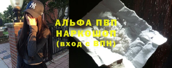 спиды Бердск