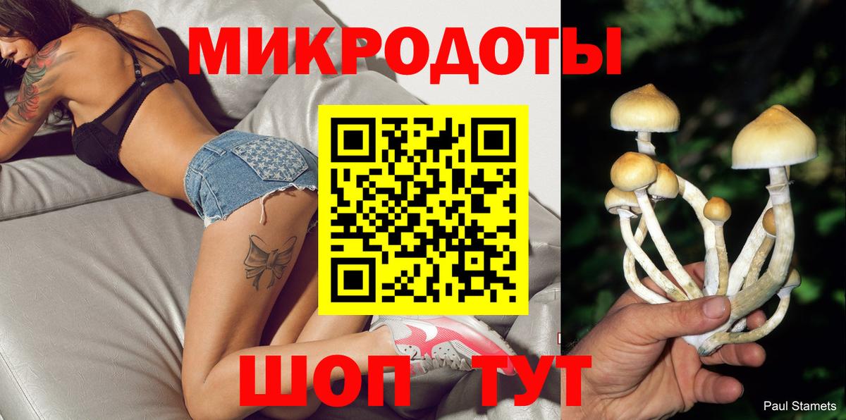 Псилоцибиновые грибы Psilocybe  Вход с VPN  Тихвин  Псилоцибиновые грибы прущие грибы 